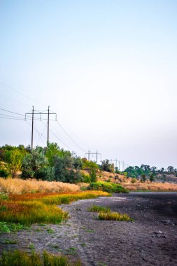 Arka planda kuru çimenler ve ağaçlar olan bir yolda dikey bir çekim.