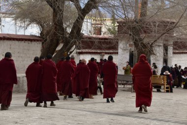 Lhasa, Tibet, Çin - 21 Ocak 2020: Bir grup kırmızı cüppeli keşiş Lhasa 'nın hemen dışındaki Sera Manastırı' nda yürüyorlar..