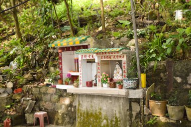 Hong Kong 'da bir Budist tapınağı.