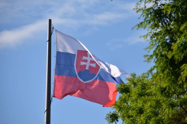 Bratislava 'da Slovakya bayrağı