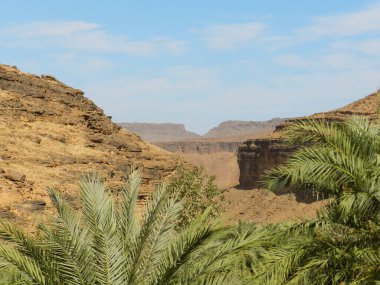 View of a deep canyon in the desert at Terjit Oasis in Mauritania. clipart