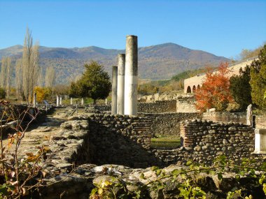 The Roman Ruins of Heraclea Lyncestis in Bitola, Macedonia clipart