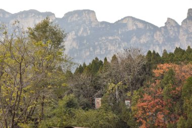 Idyllic Scene of Mountains and Trees at Yuntaishan in China's Henan Province clipart