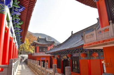 Çin 'in Henan kentindeki Yntaishan' daki Budist Tapınağı