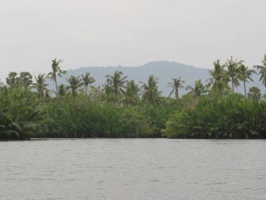 Kamboçya, Kamboçya 'daki Praek Tuek Chhu Nehri' nin güzel manzarası.