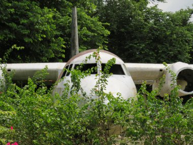 Terk edilmiş ve terkedilmiş uçak Yangon, Myanmar 'da bitki örtüsü altında.