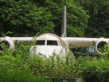Yangon, Myanmar 'da bitkilerle kaplı terk edilmiş bir uçak.