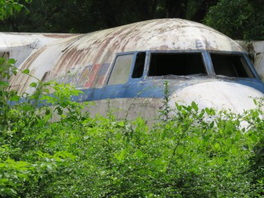 Yangon 'da bitkilerle kaplı terk edilmiş ve paslanmış bir uçak.