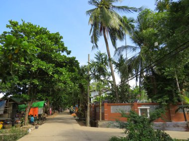 Orman kasabası Dala, Myanmar 'da evler ve palmiye ağaçları