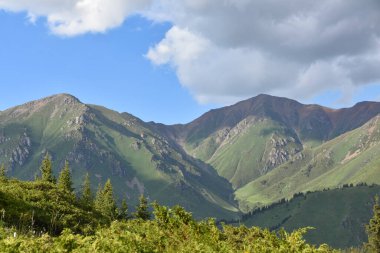 Kazakistan 'daki Büyük Almaty Gölü yakınlarındaki yeşil orman dağları.