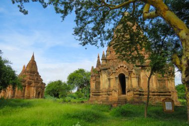 Bagan, Myanmar 'daki Antik Budist Tapınakları ve Yeşil Çimen
