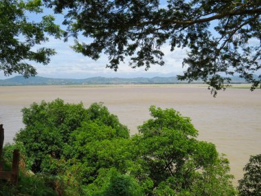 Irrawaddy Nehri 'nin suları Myanmar' daki ağaçların arasından görülüyor.
