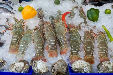 Tayland 'da Ko Samui' de bir markette taze ıstakoz.