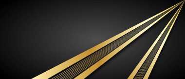 İş geçmişi için lüks altın şerit düzeni