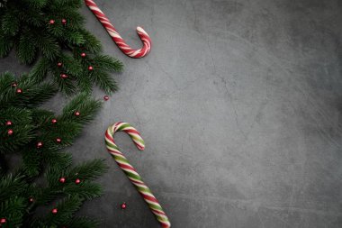 Kutlama şeker kamışları ve arka planda süslemeleri olan Noel ağacı dalları, üst manzara. Noel.