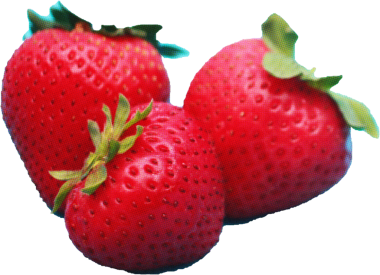 Çilek şeffaf arkaplanda izole edildi