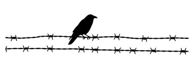 Dikenli tellere tünemiş bir kuş silueti. Tasarım basit, düz beyaz bir arkaplan ile, sade ve minimalist bir görüntü yaratıyor..