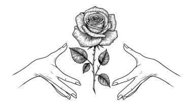 Kucaklanan Gül Nazik Elleri Bakımın Hareketi