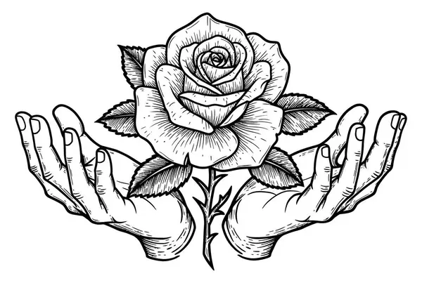 Nazik Eller Çiçek açan bir gül sunuyor Güzel Resim Sanatı