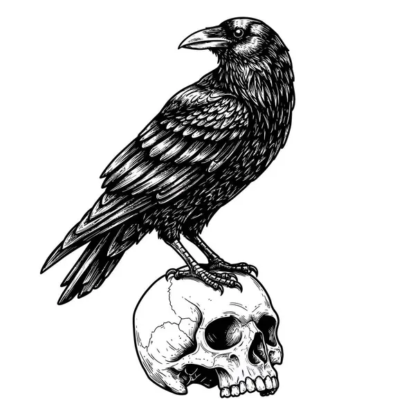 Raven, Sketch Stili Dijital Sanatta Kafatası Üzerine Tünedi