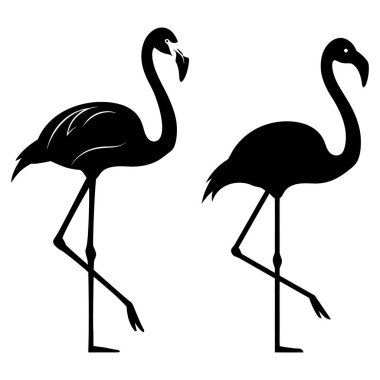 Siyah Flamingo Siluetleri Zarif Tropikal Kuşlar Tek Bacaklı Duruyor