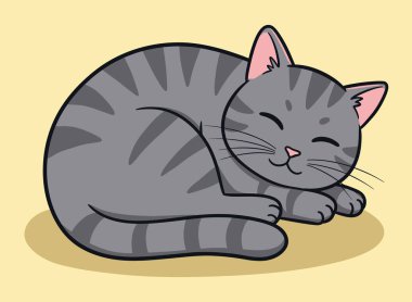 Tatlı Uyuyan Tekir Kedi Huzurlu Uyku Zamanı 'nın tadını çıkarıyor