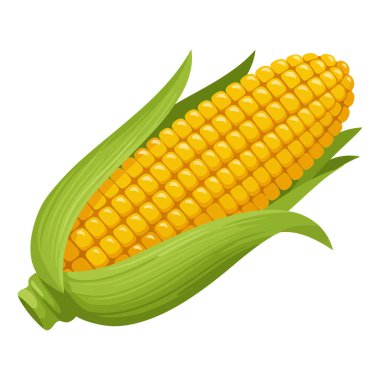 Çok Yönlü ve Besleyici Mısır Sağlıklı Yeme Rehberi