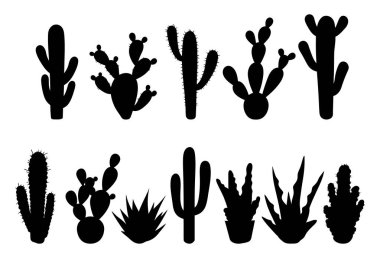 Desert Beauty Cactus Kaktüsleri Dekoratif Elementler ve Tasarım İçin Ayarlandı