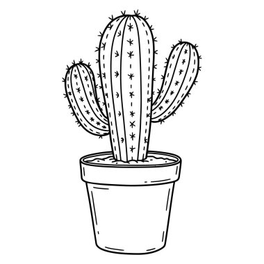 Çöl Evi Dekorasyonu İçin Bir Kaktüse Dikenli Kaktüs