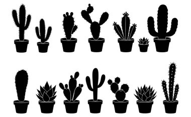 Kaktüs Bitkilerinin Çeşitliliği Siyah ve Beyaz Görünümleri