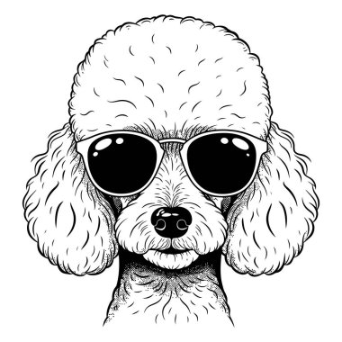 Güneş Gözlüğü Takan Havalı Kaniş Siyah ve Beyaz Çizim