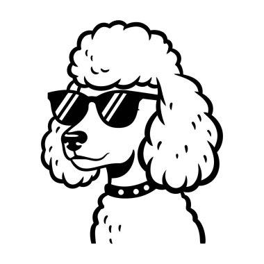 Yaz günü güneş gözlüklü serin bir kaniş.