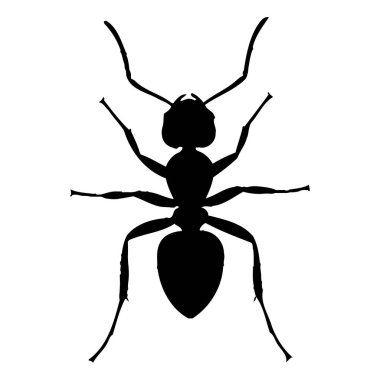 Karınca Böceği Detaylı Kapalı Siluet Doğa Vahşi Minik