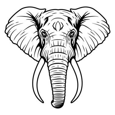 Siyah ve Beyaz Dişli Fil Başı