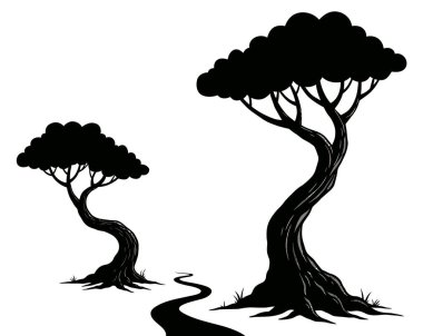 Doğanın Güzelliğini Yansıtan Görkemli Ağaçlar Arasında Doğal Bir Yol