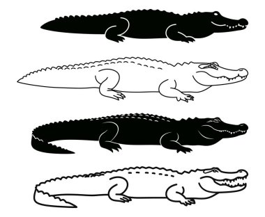 Boyama Kitapları ve Eğitimsel Amaçlar için Timsahların Çizimleri
