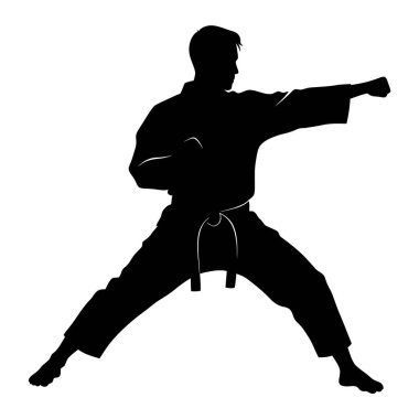 Dövüş Sanatları Uzmanının Silueti Güçlü Karate Tekniğini Gösteriyor