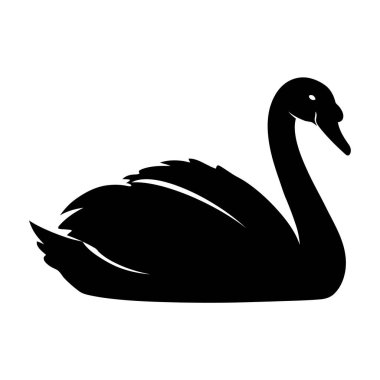 Ayrı Grafik Sunumunda Gizemli Siyah Kuğu Zarafeti