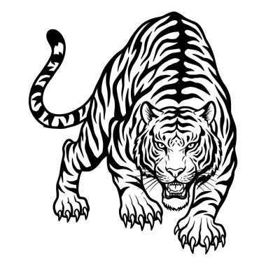 Vurucu Kaplan 'ın Siyah ve Beyaz Çizimi