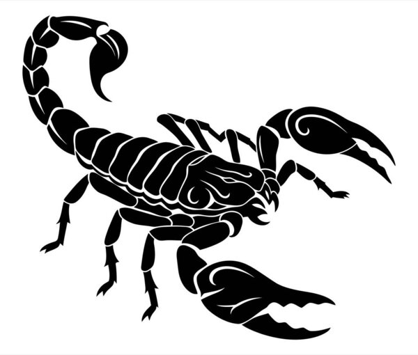 Illustration of a Detailed and Stylish Scorpion Animal