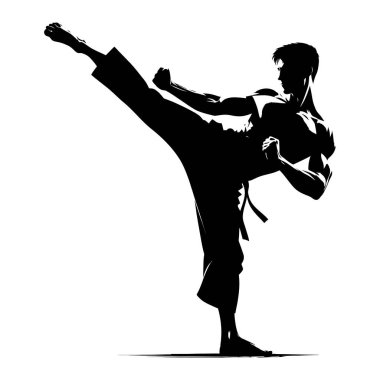Dinamik Tekme Tekmeleyen Dövüş Sanatları Tekmeleyicisinin Silueti