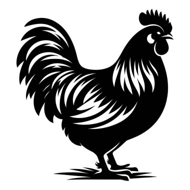 Zarif ve Görkemli Horoz İllüstrasyonu Çiftlik Yaşamının Sembolü