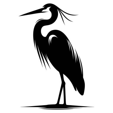 Siyah ve Beyaz Tarzlı Zarif Balıkçıl Siluet Kuşu