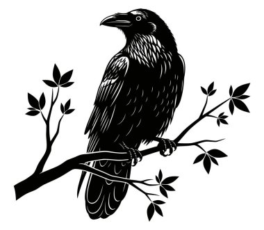 Stark monokrom illüstrasyonunda bir dalda tünemiş bir kuzgun, silueti beyaz arka planda zıt yöndedir. Tarzı minimalist..