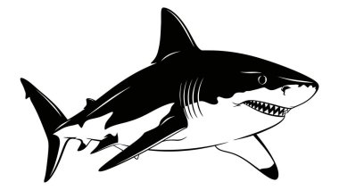 Bir köpekbalığının monokrom çizimi. Keskin dişleri ve suda güçlü bir şekilde yüzen sırt yüzgeci vardır..