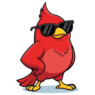 Güneş gözlüğü takan bir kardinal kendine güvenir. Görüntü parlak ve neşeli, temiz beyaz bir arkaplan üzerine kurulmuş..