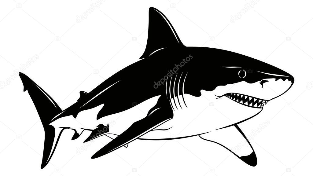 A monochrome illustration of a shark. It features sharp teeth and a prominent dorsal fin, swimming powerfully through the water.