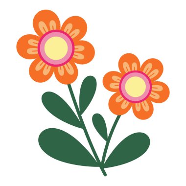 Yeşil Yapraklı ve Köklü İki Parlak Turuncu Daisy Çiçeği