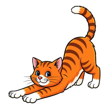 Sevimli Turuncu Kedi Neşeli İfade ve Mavi Gözlerle Vücudunu Esnetiyor