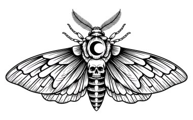 Kafatası Ay Güvesi 'nin Karanlık Göksel Sembolizmi Gece Mistik ve Dönüşüm Amblemi